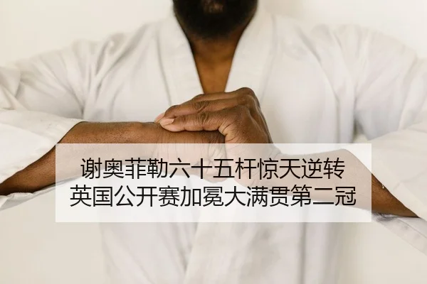 xie-ao-fei-lei-liu-shi-wu-gan-jing-tian-ni-zhuan-ying-guo-gong-kai-sai-jia-mian-da-man-guan-di-er-guan-2-807.jpg