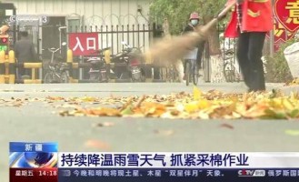  杜塞尔多夫逆袭成功逃离降级区  